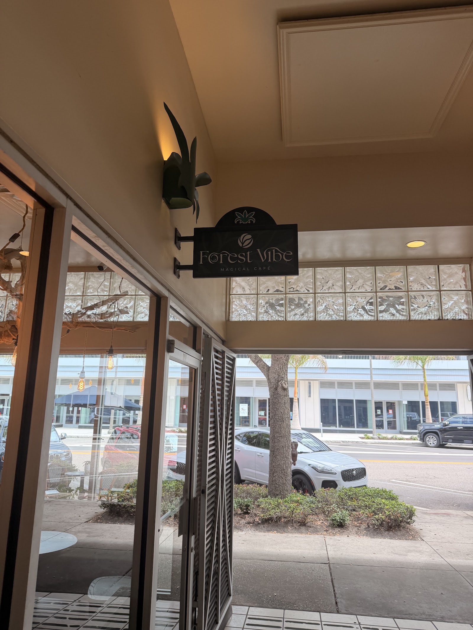 The Forest Vibe sign hanging under the awning on Central Avenue